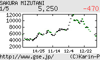 芸能証券 水谷さくら