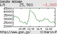 芸能証券 野川さくら