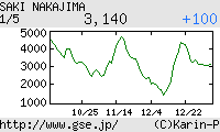芸能証券 中島沙樹