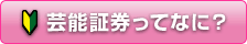 芸能証券ってなに?